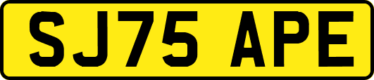 SJ75APE