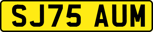 SJ75AUM