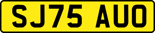 SJ75AUO