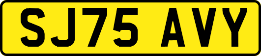 SJ75AVY