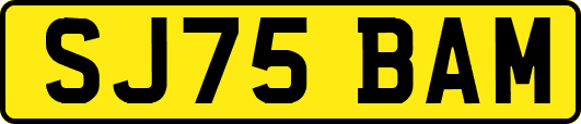 SJ75BAM