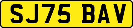 SJ75BAV