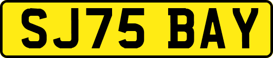 SJ75BAY