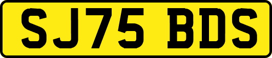 SJ75BDS