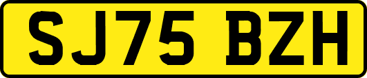 SJ75BZH