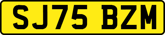 SJ75BZM