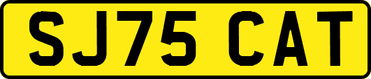 SJ75CAT
