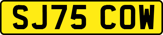 SJ75COW