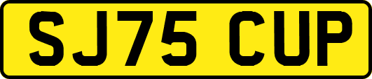 SJ75CUP