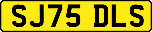 SJ75DLS