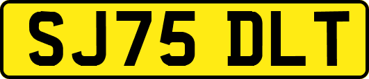 SJ75DLT