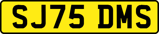 SJ75DMS