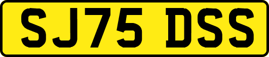 SJ75DSS