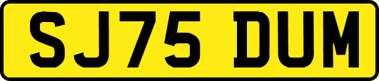 SJ75DUM