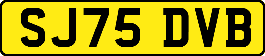 SJ75DVB