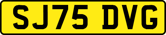 SJ75DVG