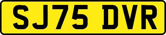 SJ75DVR