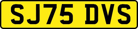 SJ75DVS