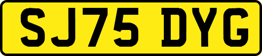SJ75DYG