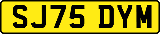 SJ75DYM