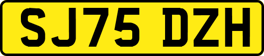 SJ75DZH