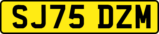 SJ75DZM