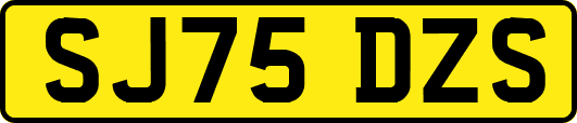 SJ75DZS