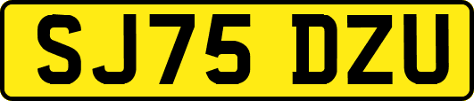 SJ75DZU