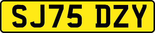 SJ75DZY