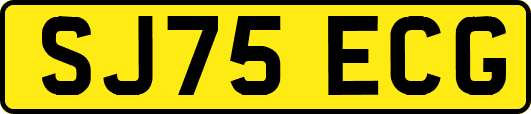 SJ75ECG