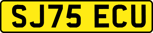 SJ75ECU
