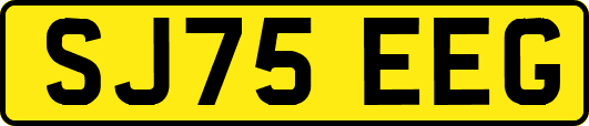 SJ75EEG