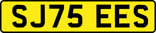 SJ75EES
