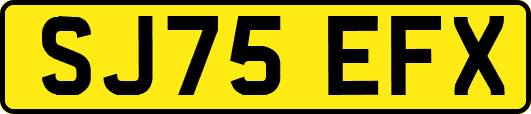 SJ75EFX