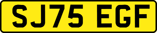 SJ75EGF