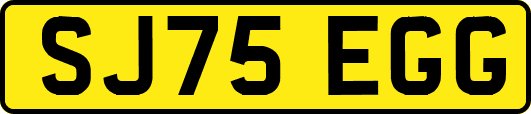 SJ75EGG