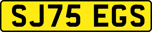SJ75EGS