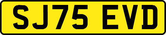 SJ75EVD