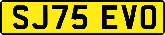 SJ75EVO