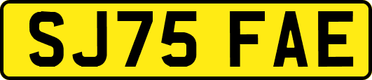 SJ75FAE