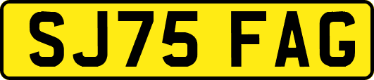 SJ75FAG
