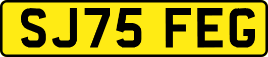 SJ75FEG