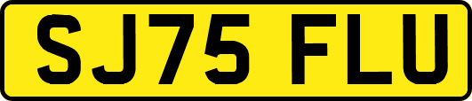 SJ75FLU