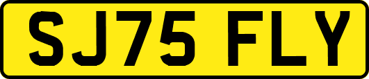 SJ75FLY