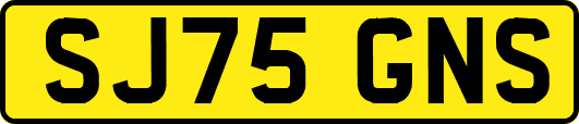 SJ75GNS