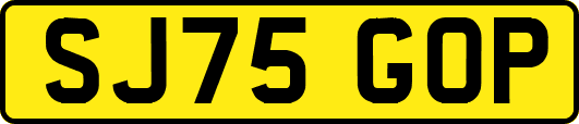 SJ75GOP