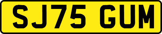SJ75GUM