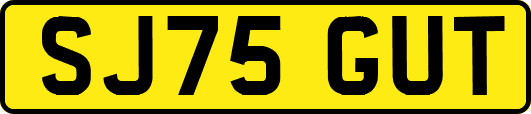SJ75GUT