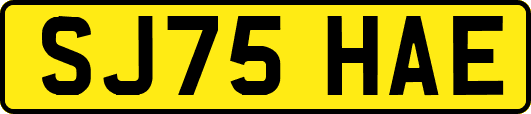 SJ75HAE