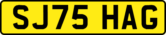 SJ75HAG